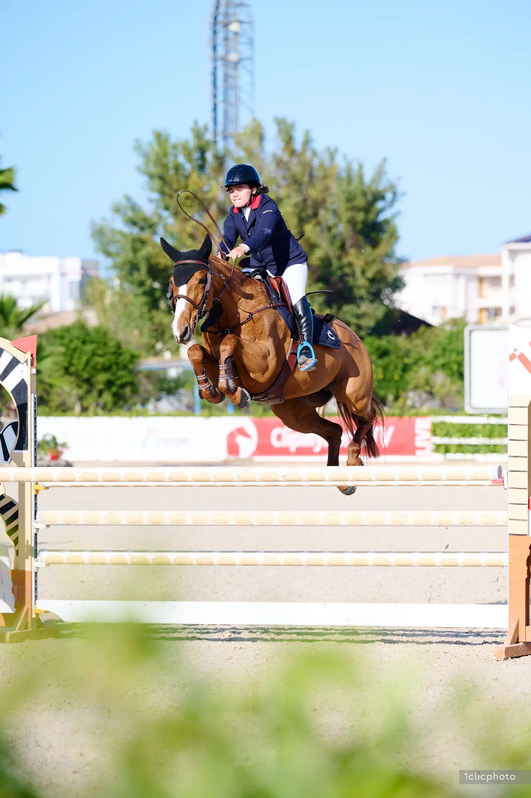 SN Horses - Cavalier Saskia Nouguès - Chevaux français - Equitation