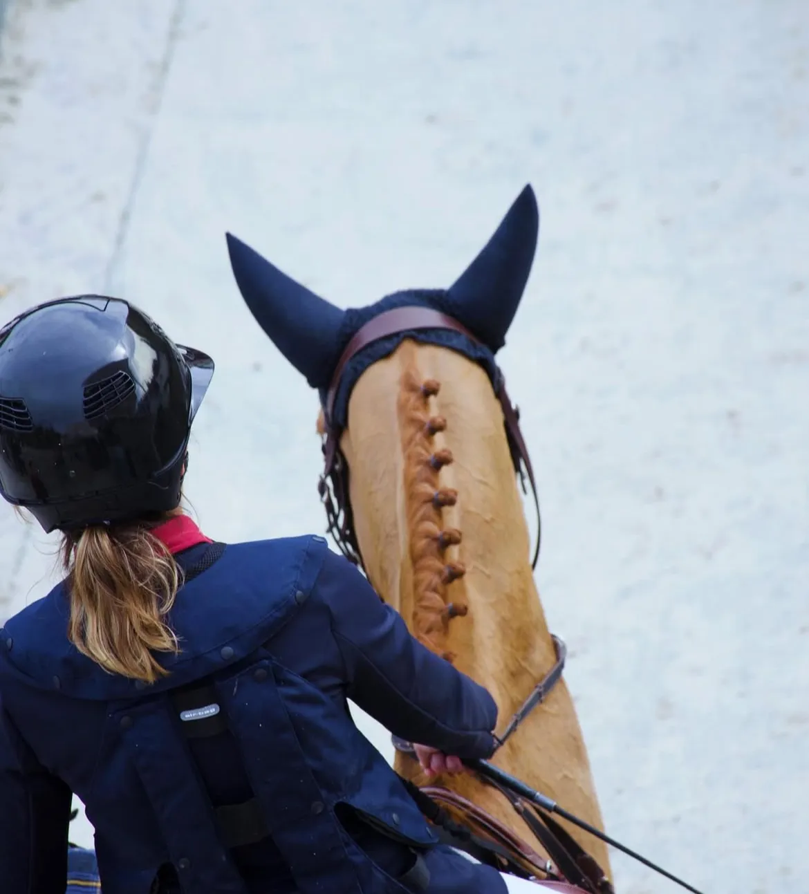 SN Horses - Cavalier Saskia Nouguès - Chevaux français - Equitation