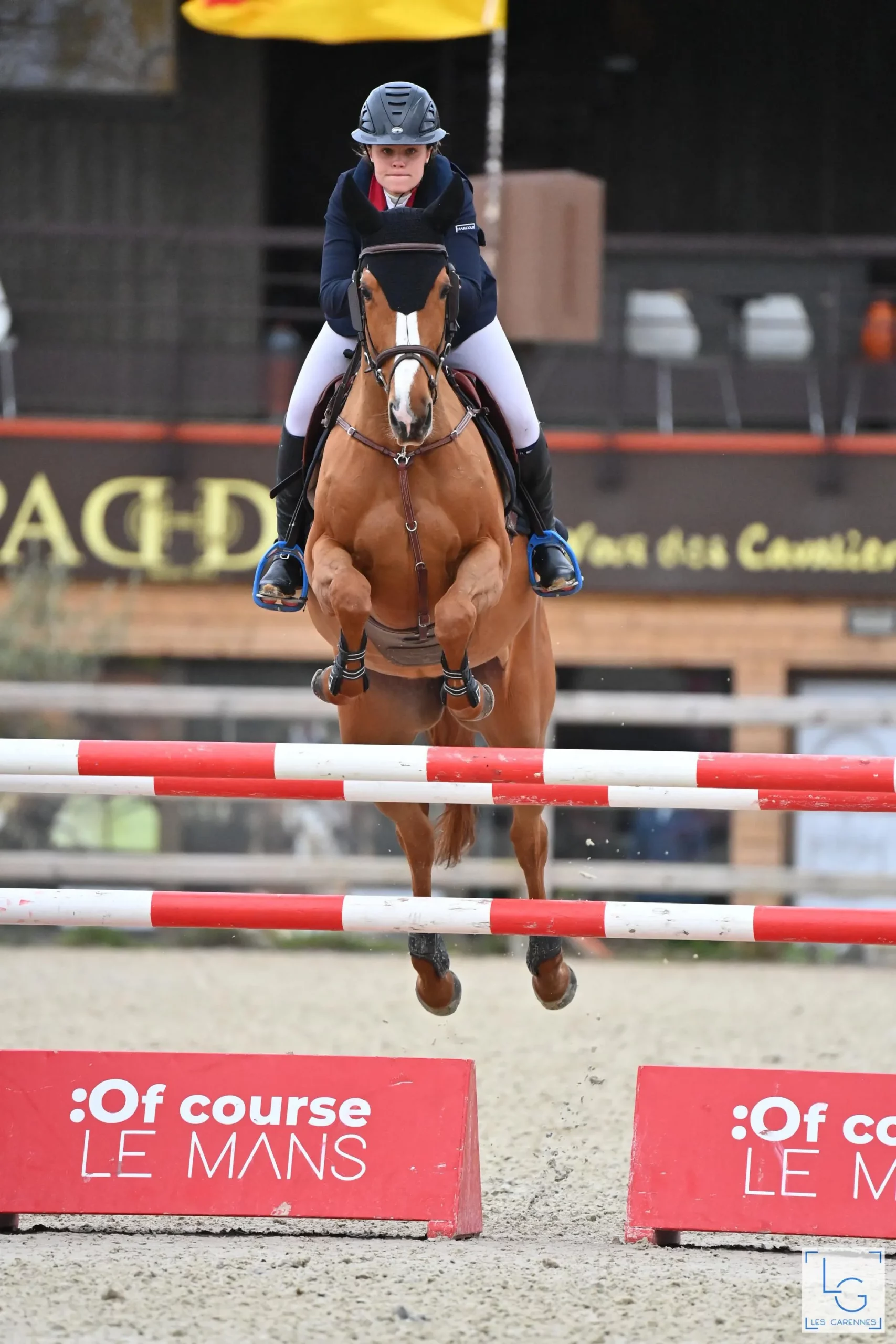 SN Horses - Cavalier Saskia Nouguès - Chevaux français - Equitation