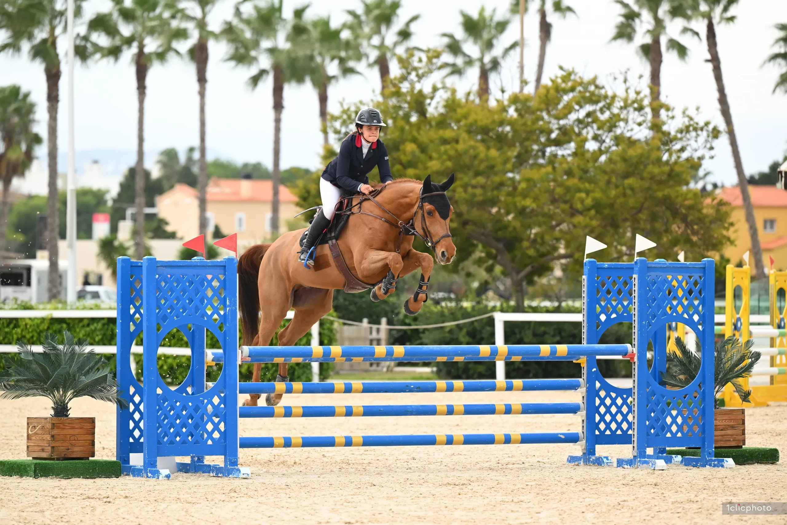 SN Horses - Cavalier Saskia Nouguès - Chevaux français - Equitation