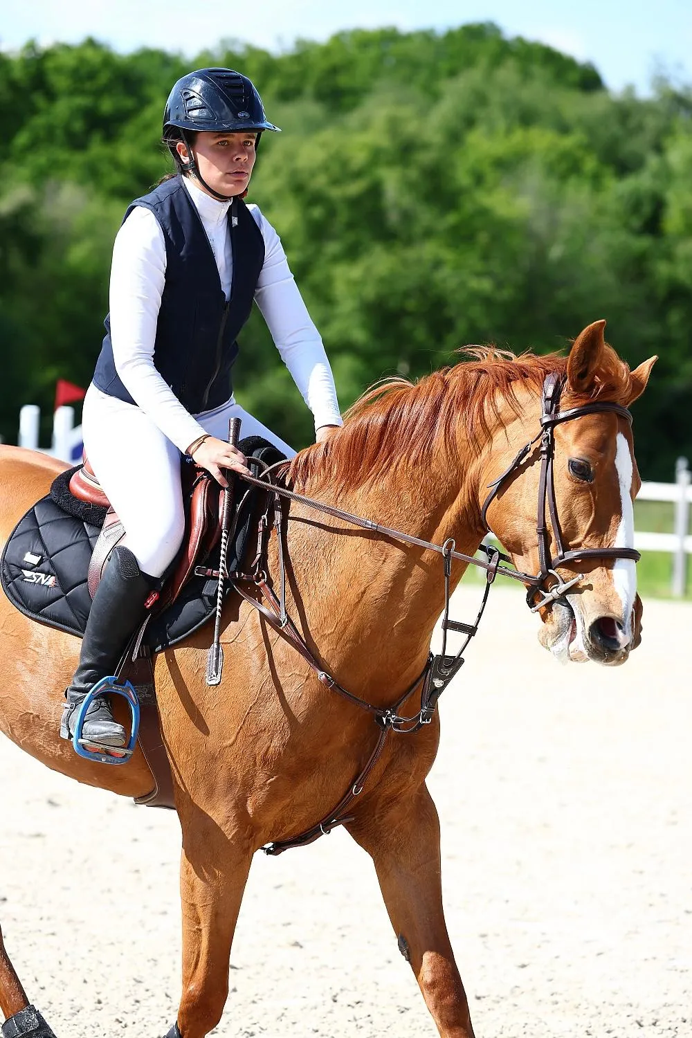 SN Horses - Cavalier Saskia Nouguès - Chevaux français - Equitation