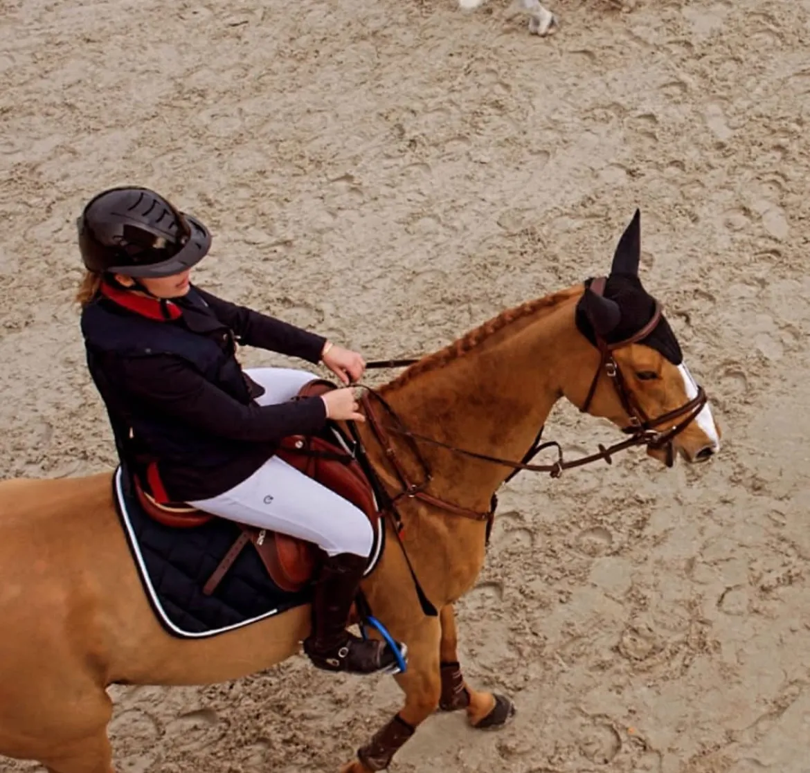 SN Horses - Cavalier Saskia Nouguès - Chevaux français - Equitation