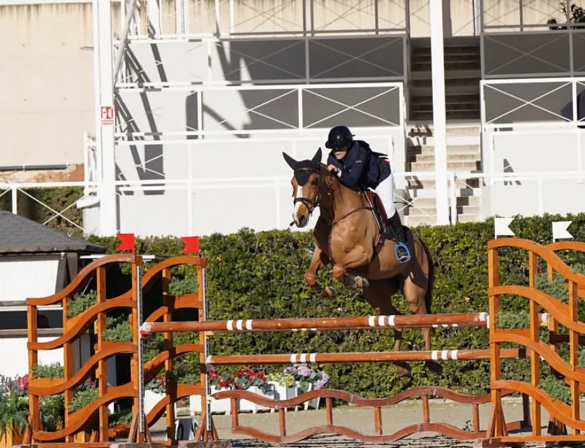 SN Horses - Cavalier Saskia Nouguès - Chevaux français - Equitation