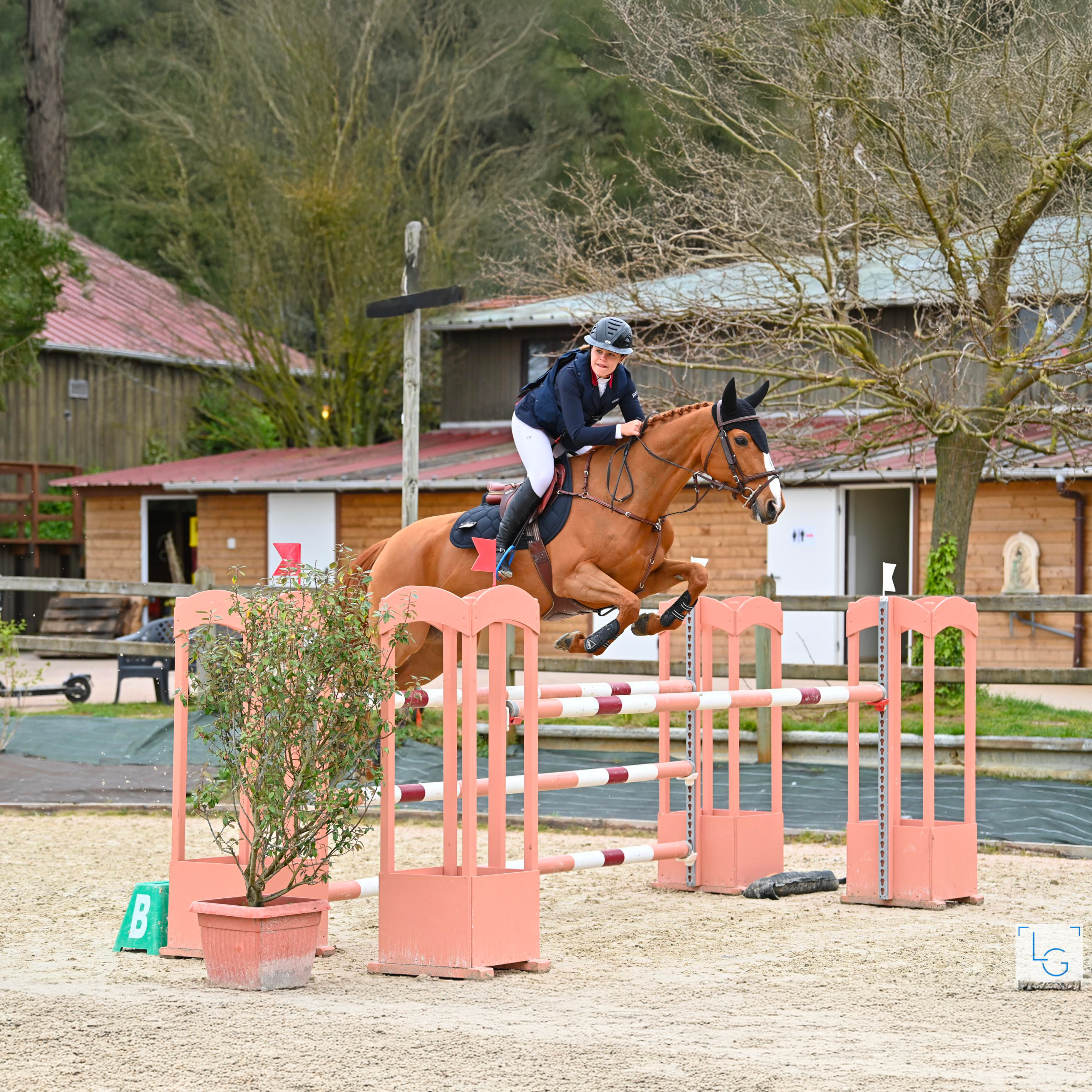 SN Horses - Cavalier Saskia Nouguès - Chevaux français - Equitation