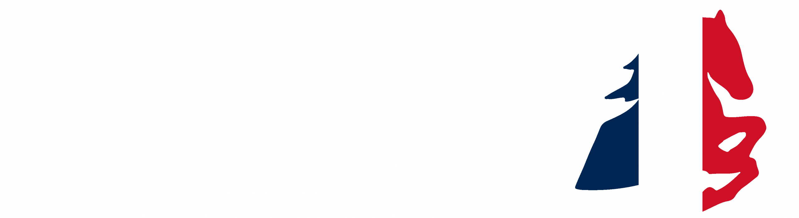 SN - INTERNATION JUMPING - LOGO