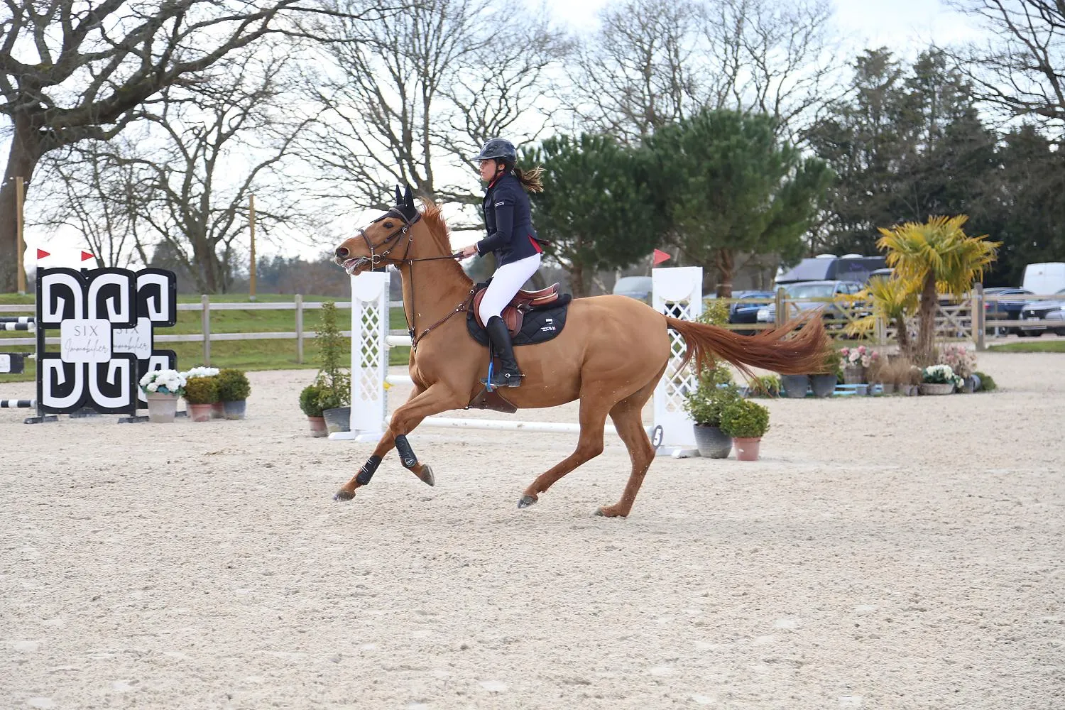 SN Horses - Cavalier Saskia Nouguès - Chevaux français - Equitation