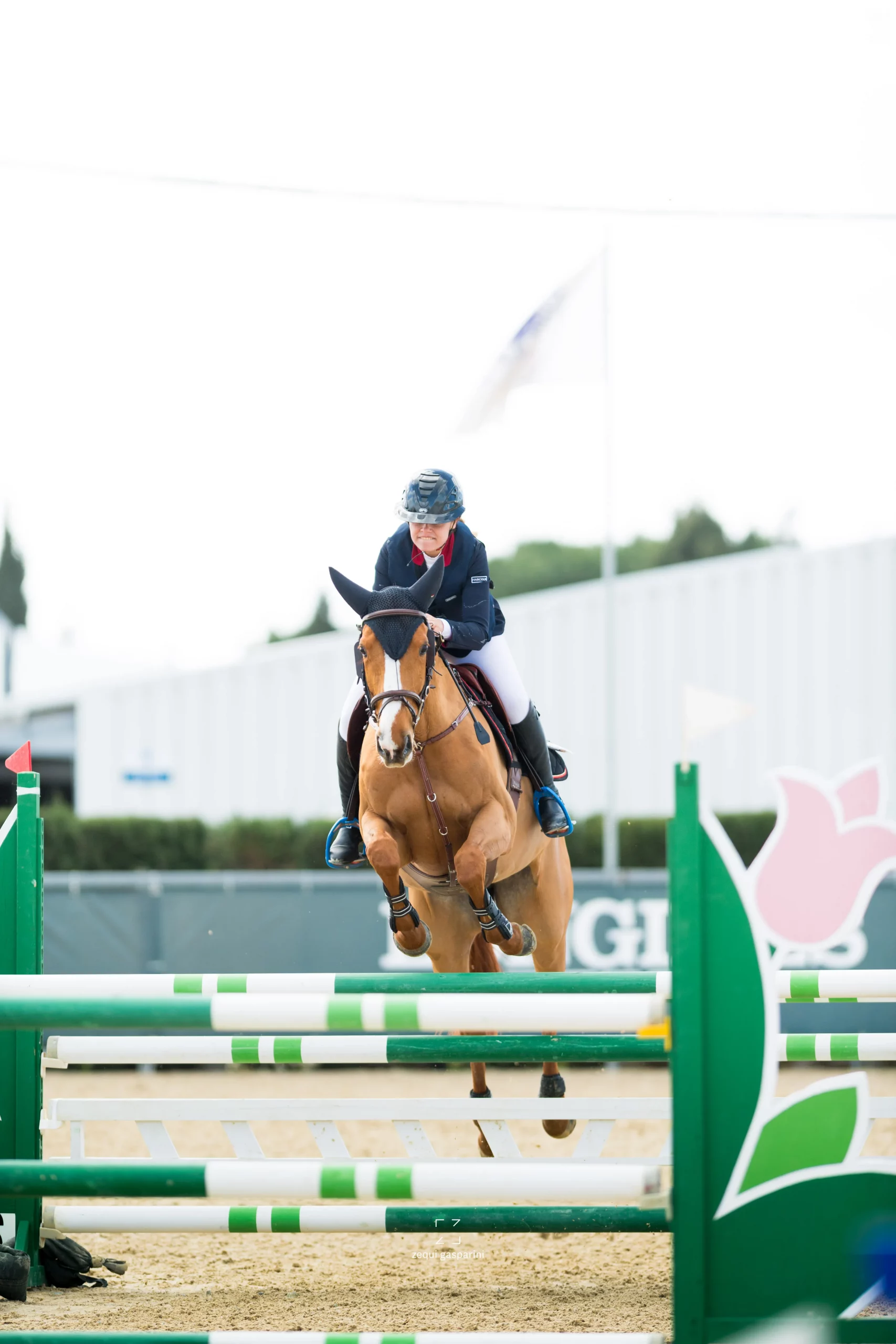 SN Horses - Cavalier Saskia Nouguès - Chevaux français - Equitation